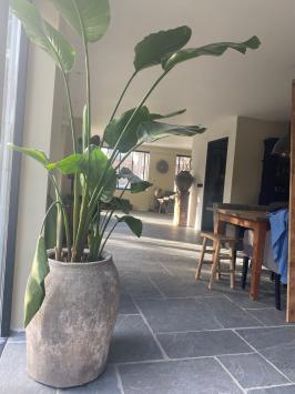 Chateau Gris Brun Antique Groot Wildverband