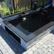 Vijverrand Basalt Gezoet 100x20x3 cm